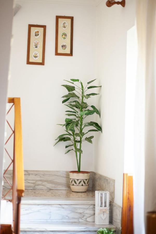 Valle Fiorita Castro dei Volsci ภายนอก รูปภาพ